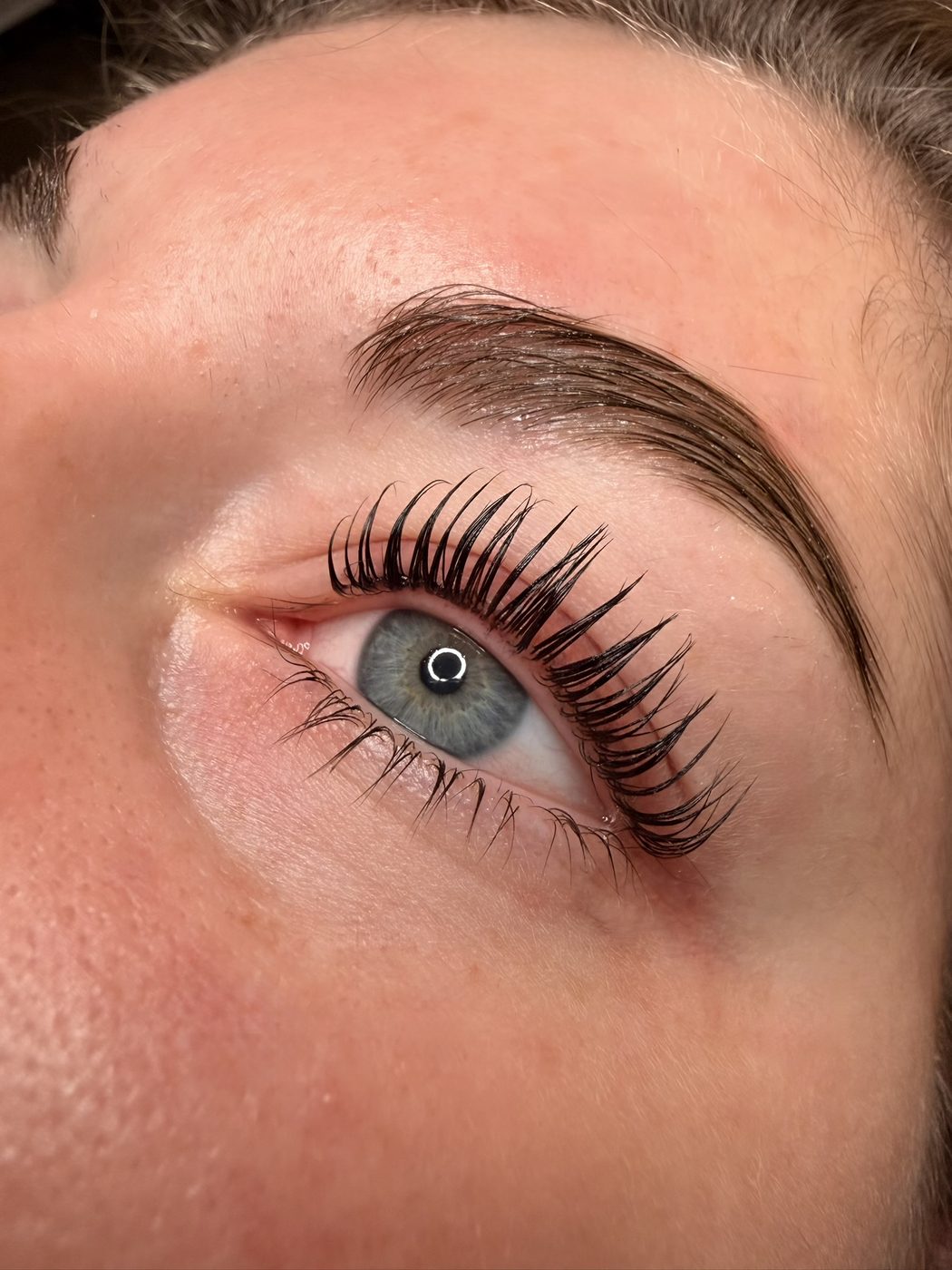 Nahaufnahme eines blaugrauen Auges nach dem Korean Wimpern Lifting, die Wimpern stehen lang und getrennt