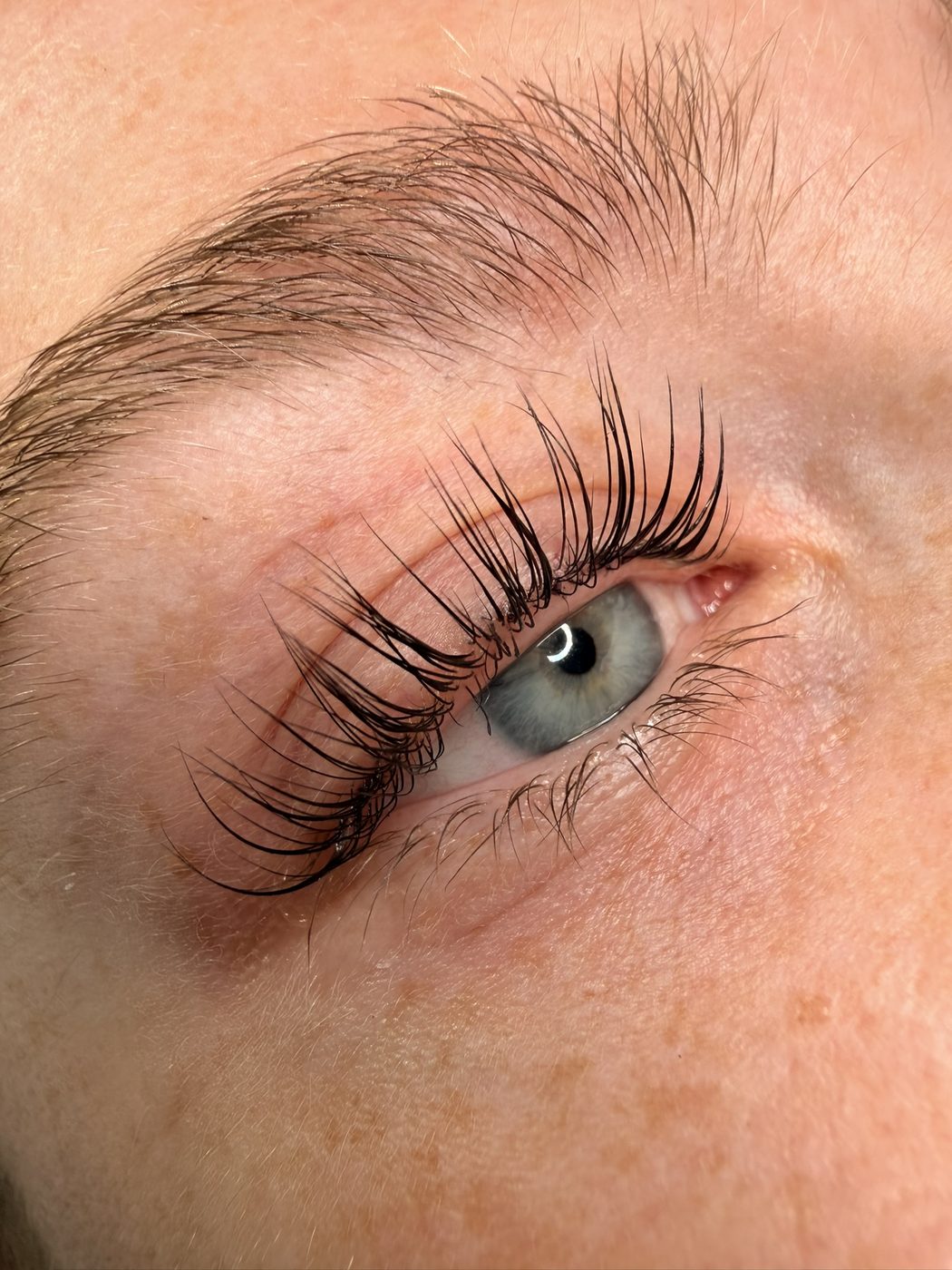 Blaugraues Auge mit weichen, getrennten Wimpern nach dem Korean Wimpern Lifting