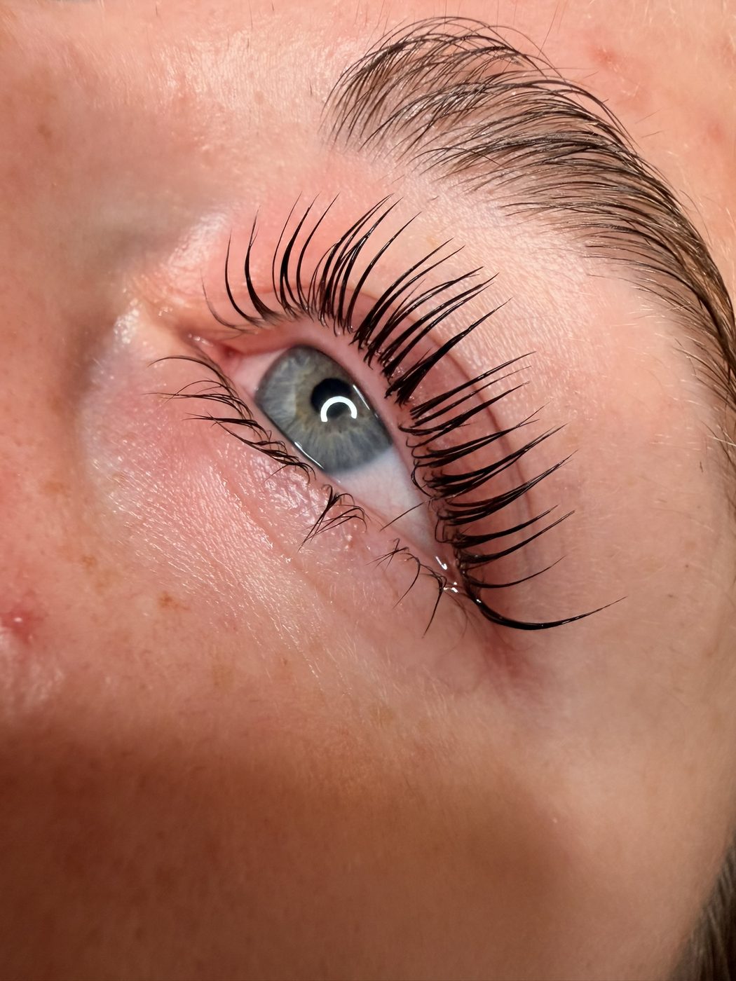 Graublaues Auge, die Wimpern sind nach dem Korean Wimpern Lifting lang nach oben geformt