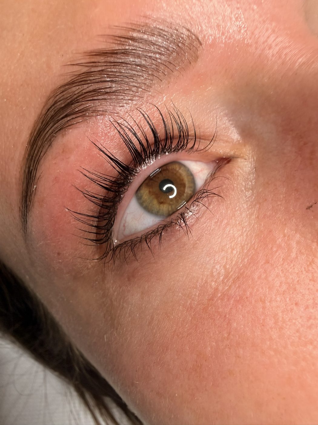Braunes Auge mit dunkler Braue, die Wimpern haben nach dem Korean Wimpern Lifting deutlichen Schwung