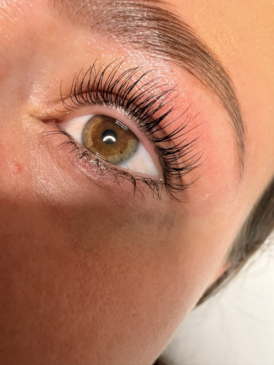 Braunes Auge mit heller Braue und geschwungenen Naturwimpern nach dem Korean Wimpern Lifting