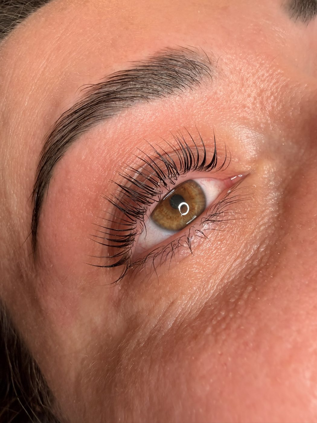 Braunes Auge mit feiner Braue, die Wimpern liegen nach dem Korean Wimpern Lifting gleichmäßig nach oben